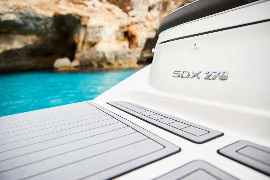 Sea Ray SDX 270