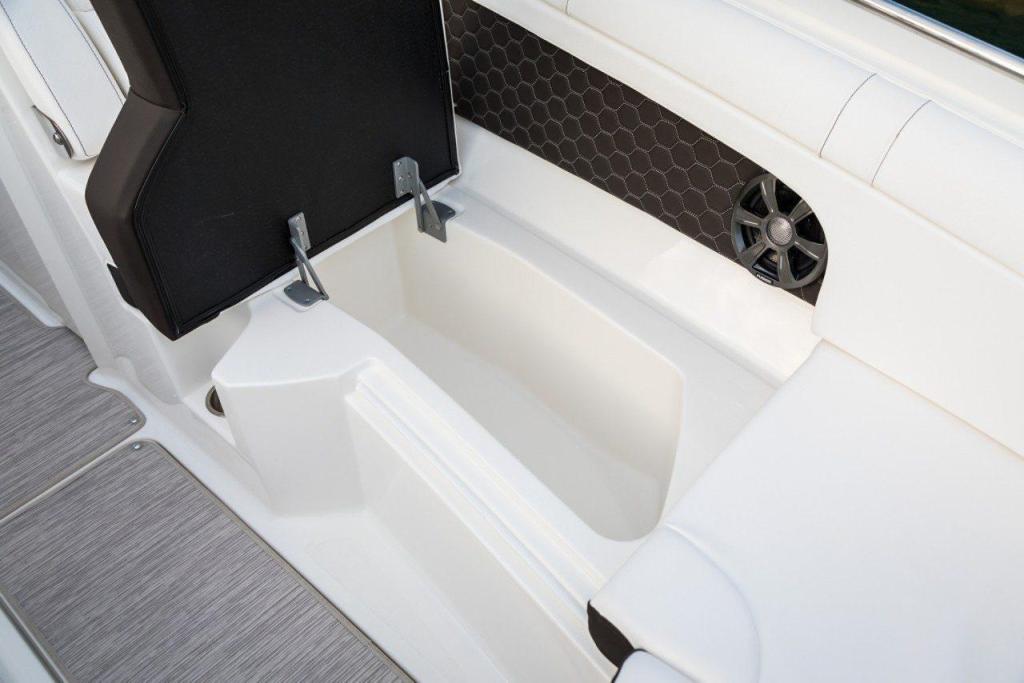 Sea Ray SDX 270 Outboard