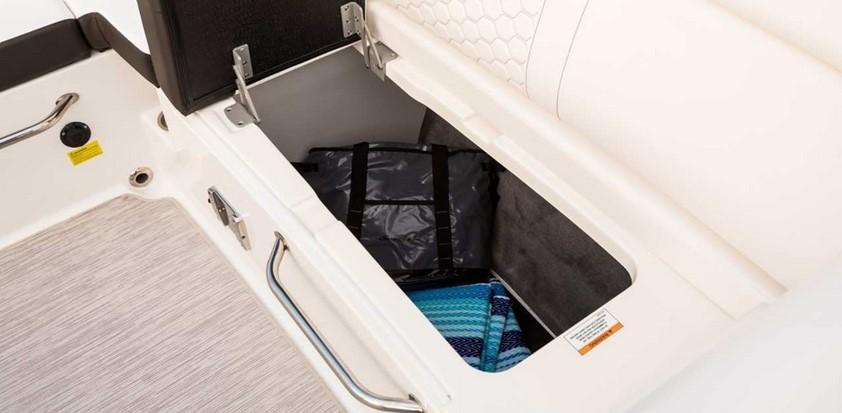 Sea Ray SDX 270 Outboard