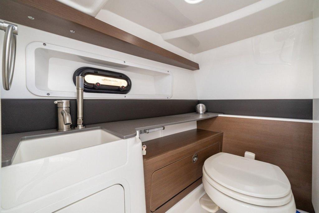 Sea Ray SDX 290 Outboard