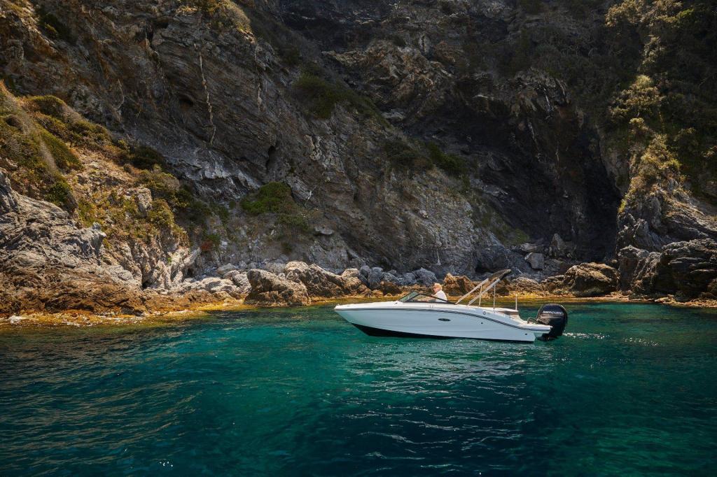 Sea Ray SPX 190 Outboard