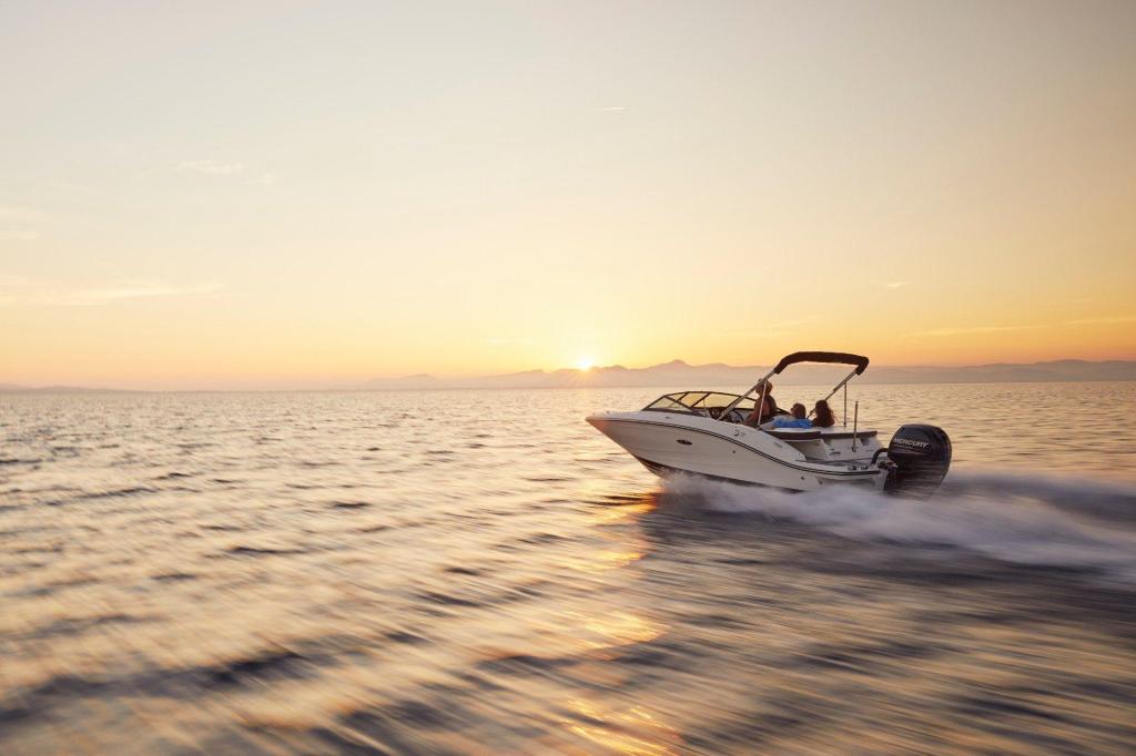 Sea Ray SPX 190 Outboard