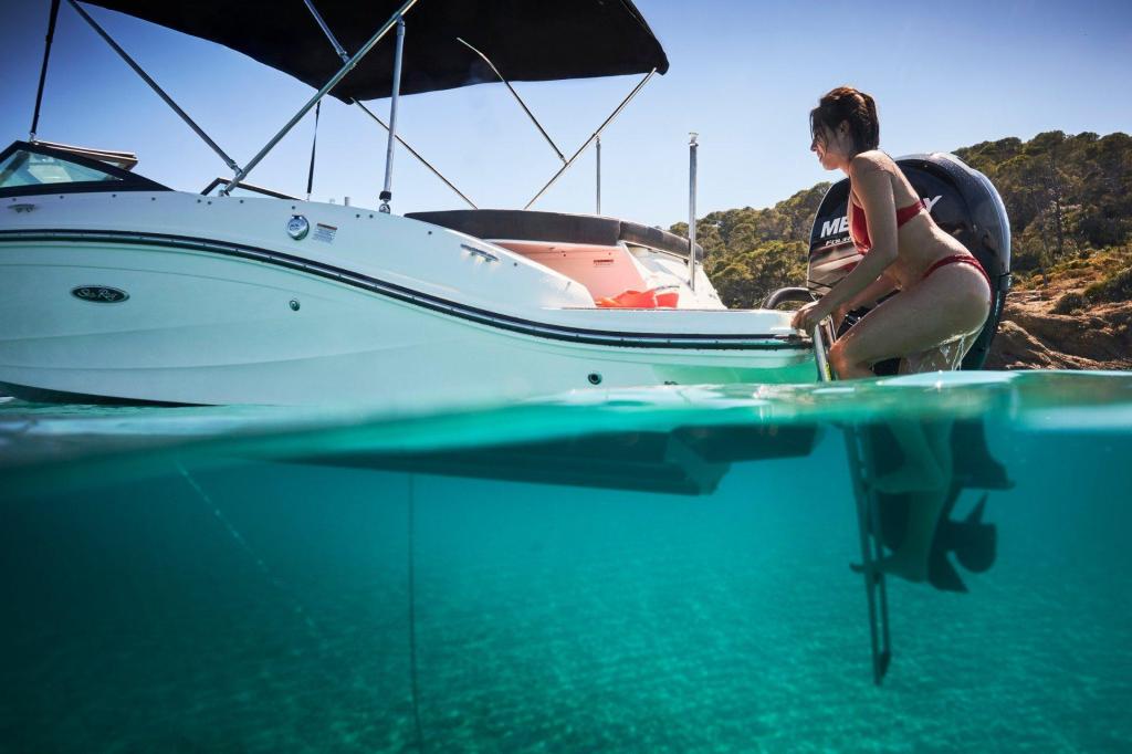 Sea Ray SPX 190 Outboard