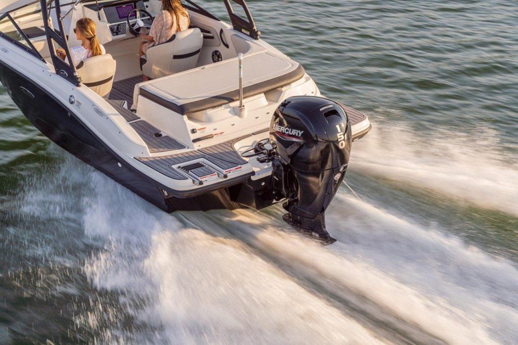 Sea Ray SPX 190 Outboard
