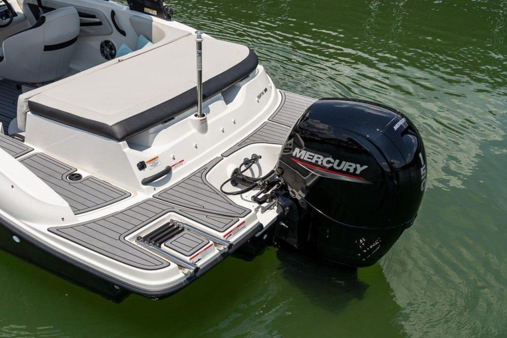 Sea Ray SPX 190 Outboard