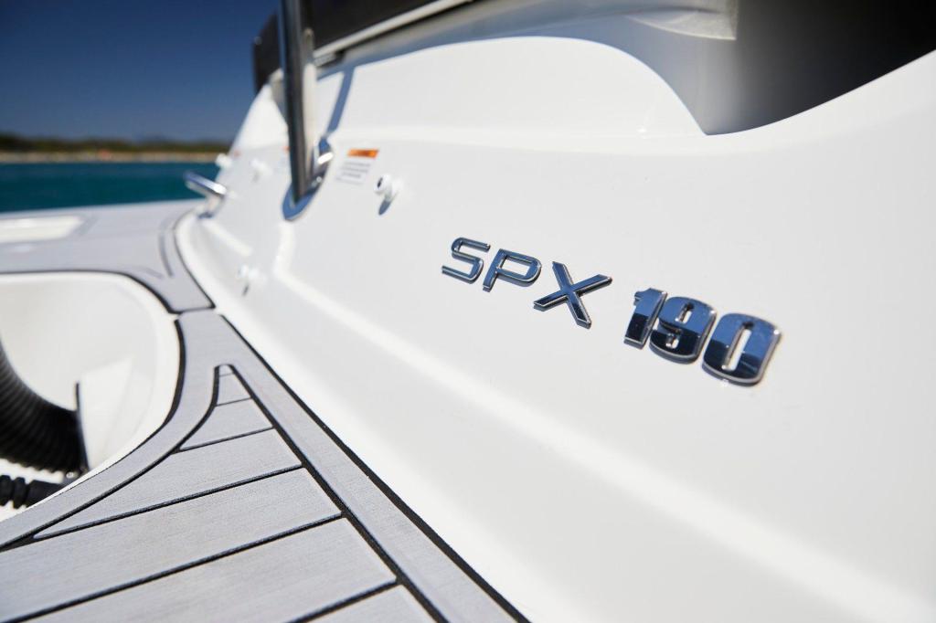 Sea Ray SPX 190 Outboard