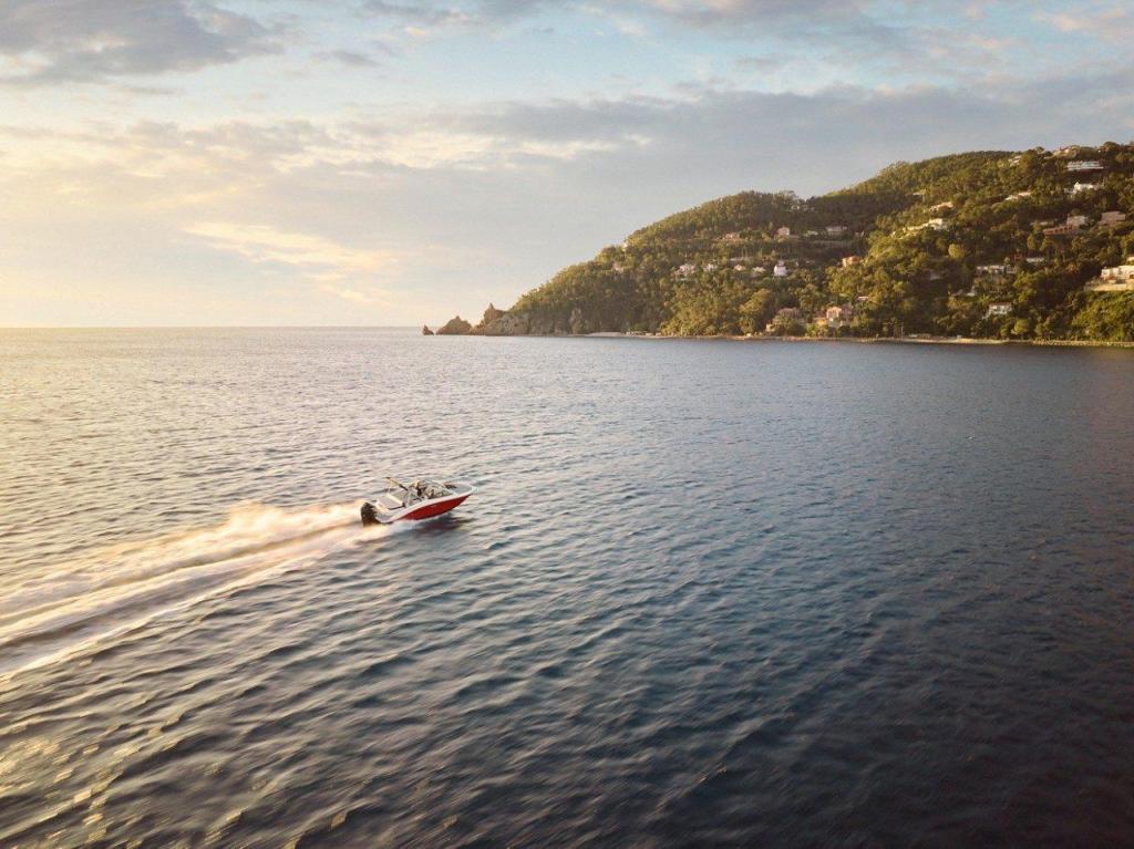 Sea Ray SPX 210 Outboard