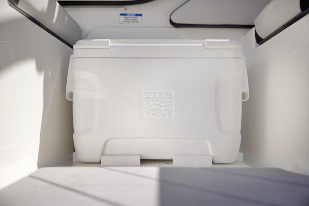 Sea Ray SPX 210 Outboard