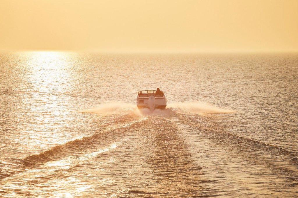 Sea Ray SPX 230 Outboard