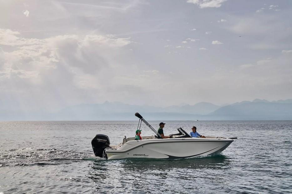 Bayliner M19