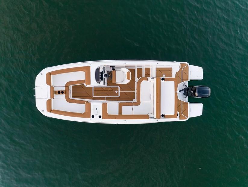 Bayliner DX2000