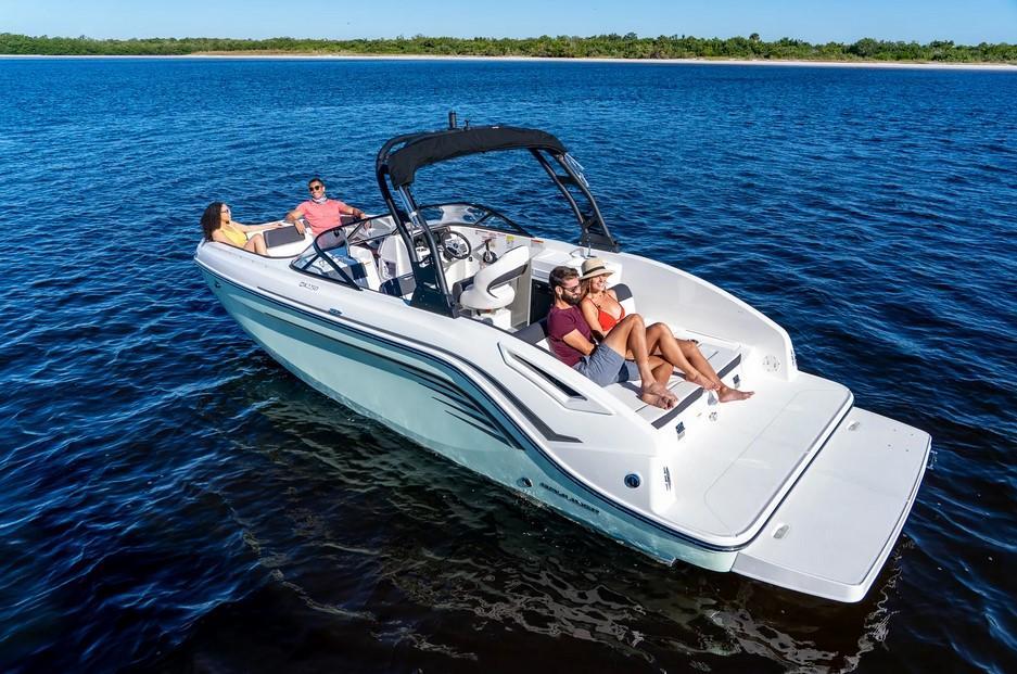 Bayliner DX2250