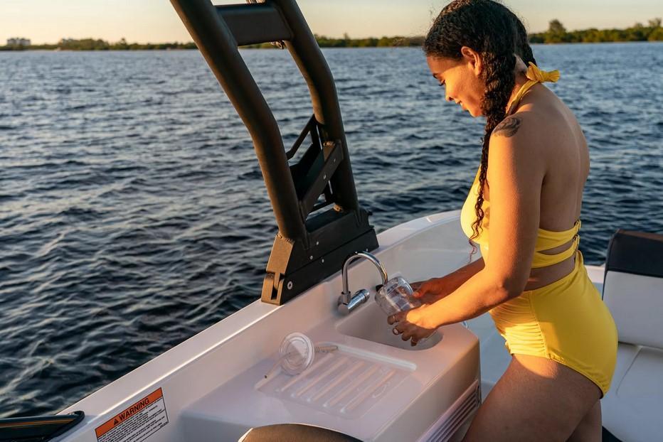 Bayliner DX2250