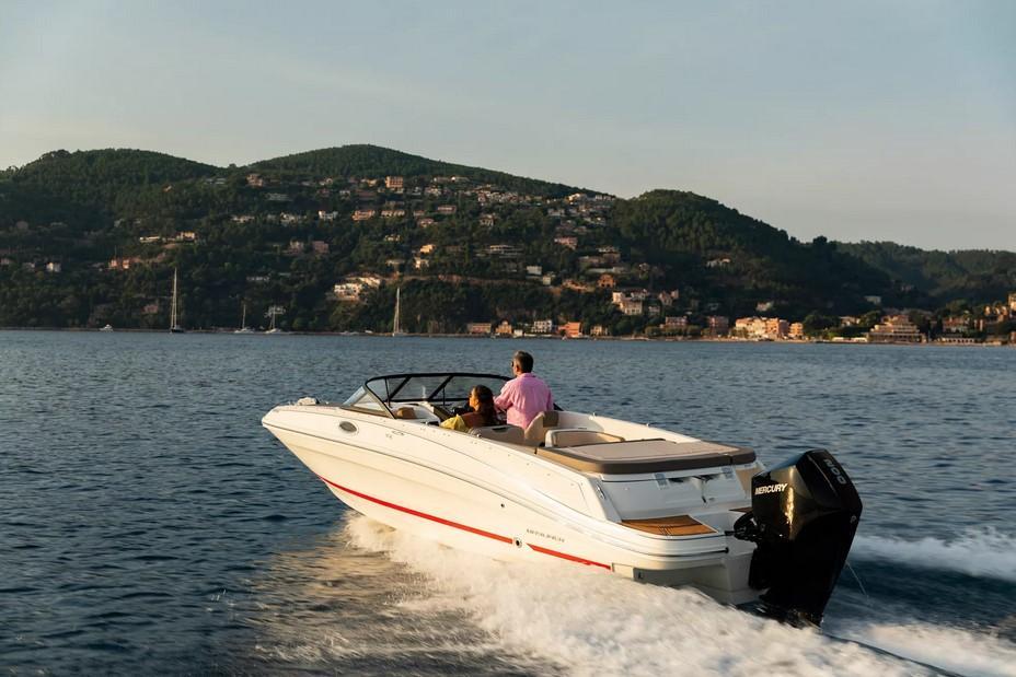Bayliner VR6 Outboard