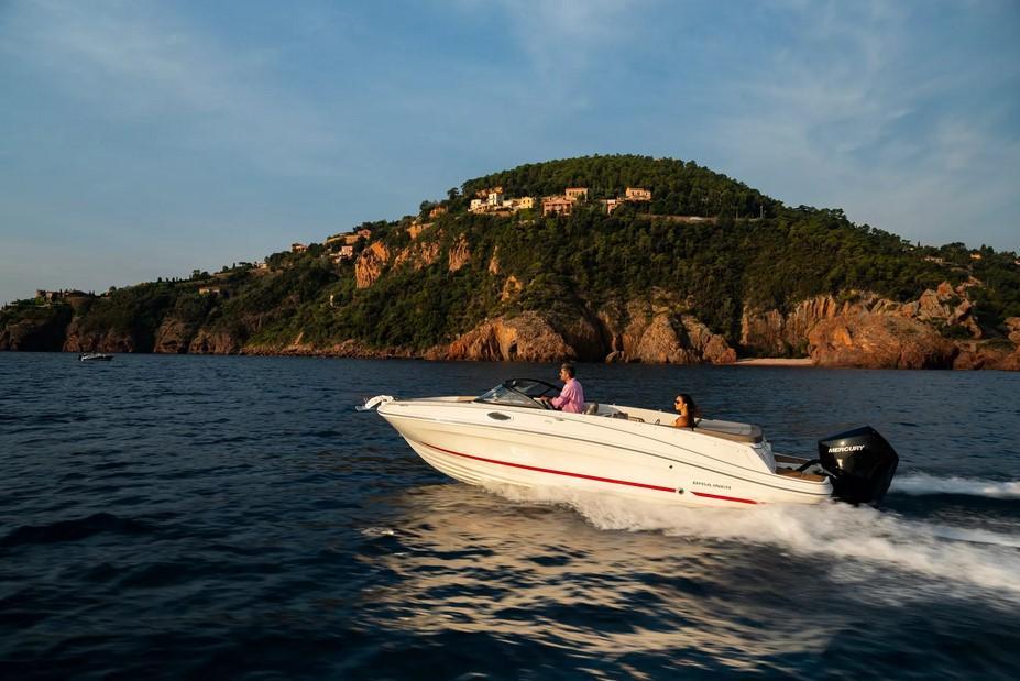 Bayliner VR6 Outboard