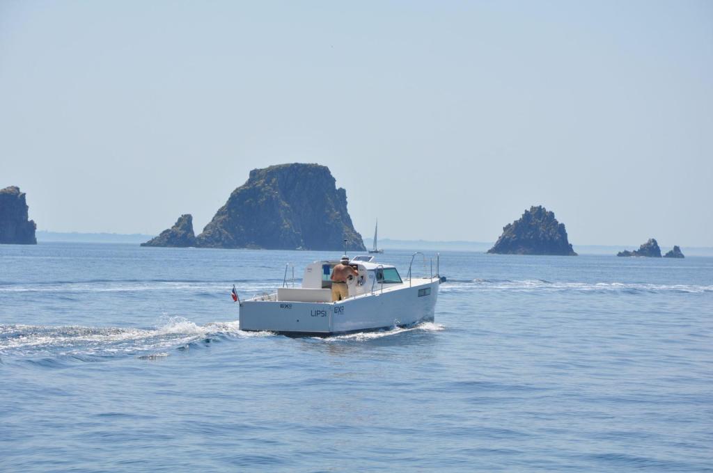 Pogo Loxo 32 In Bord
