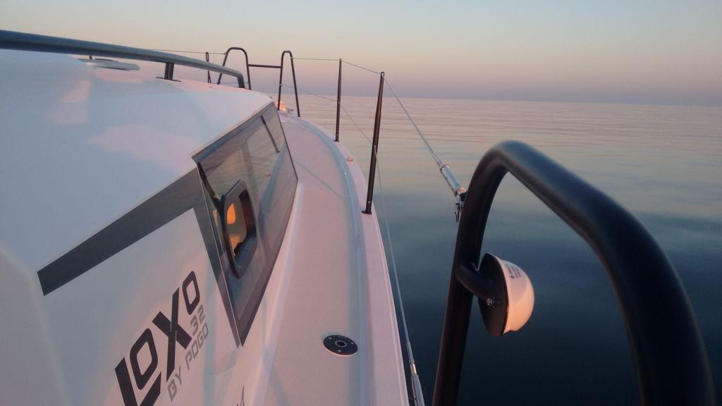 Pogo Loxo 32 In Bord
