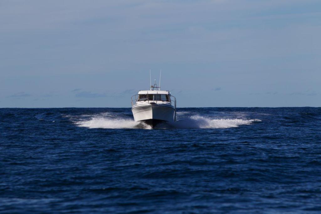 Saga 325