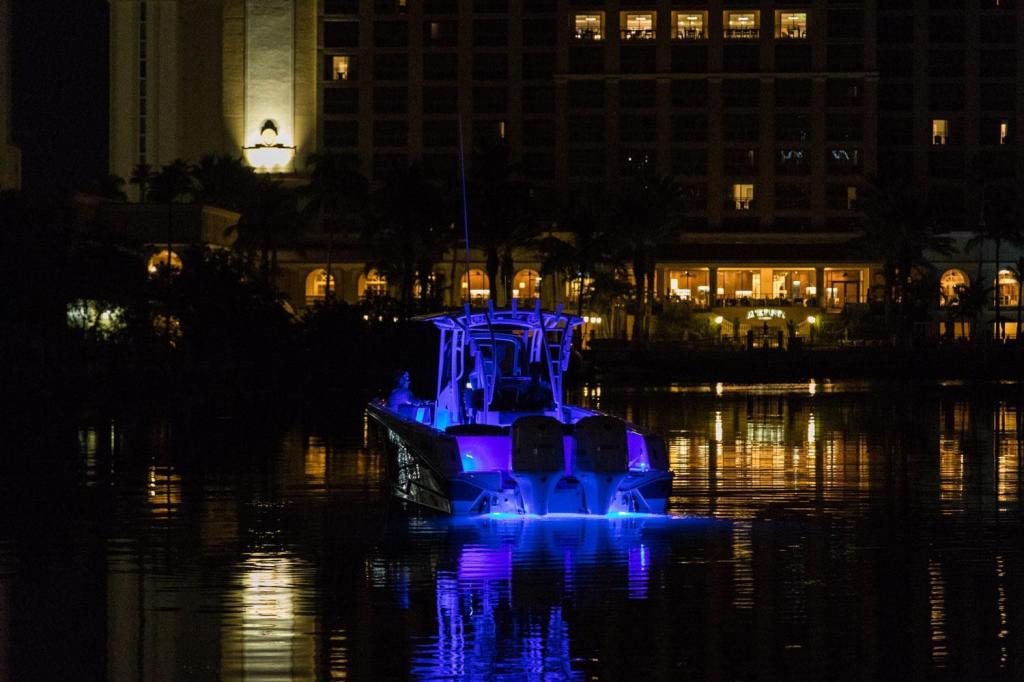 Wellcraft 302 Fisherman