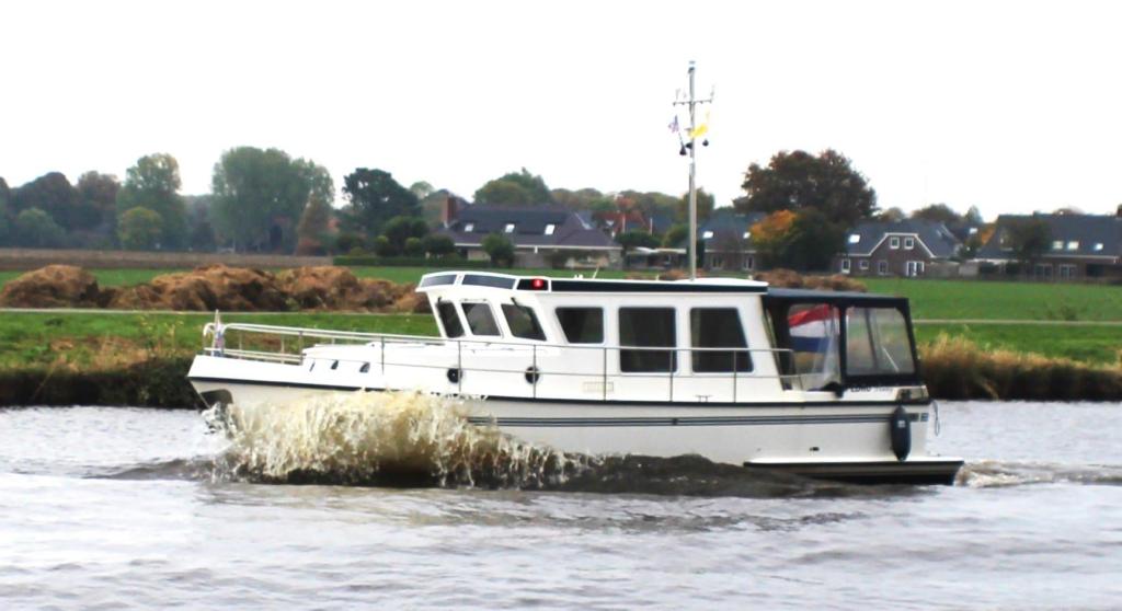 Pedro Donky 34
