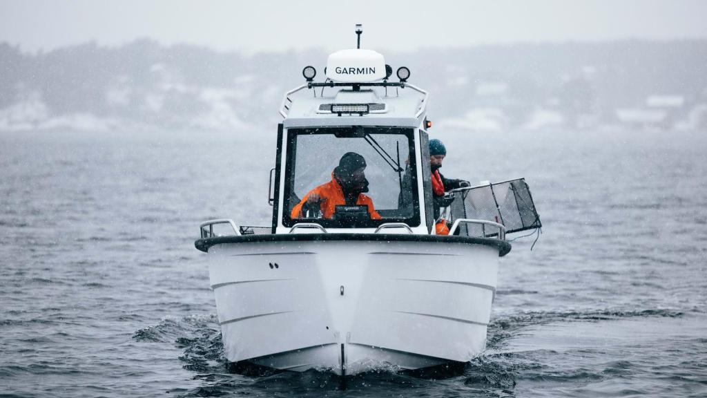 Sting 725 Pro Cabin XL