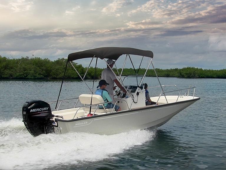 Boston Whaler 150 Montauk