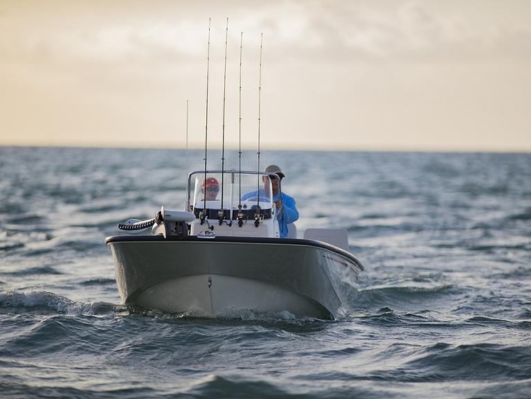 Boston Whaler 170 Montauk