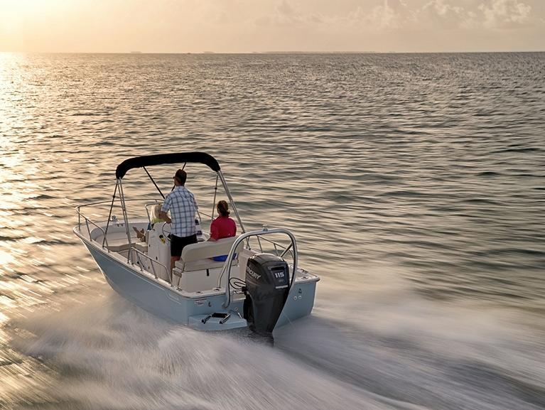 Boston Whaler 170 Montauk