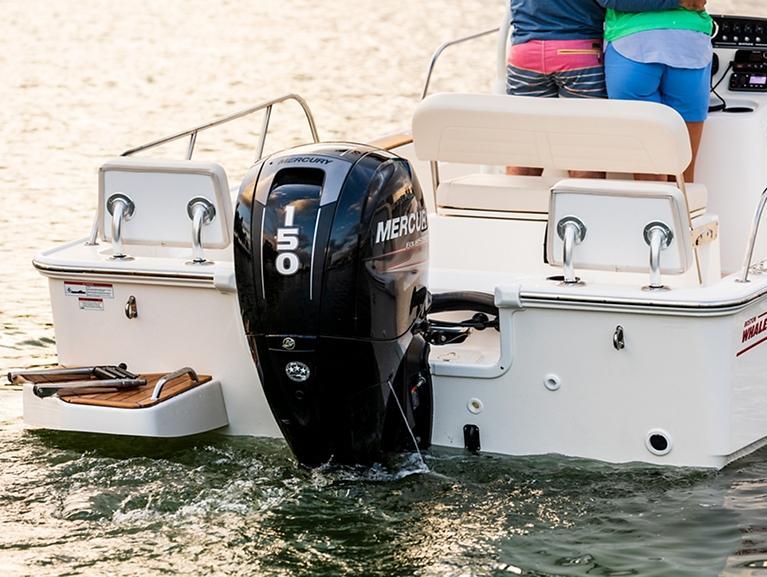 Boston Whaler 190 Montauk