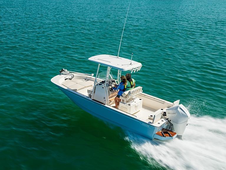 Boston Whaler 210 Montauk