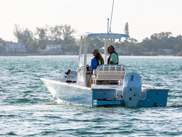 Boston Whaler 210 Montauk