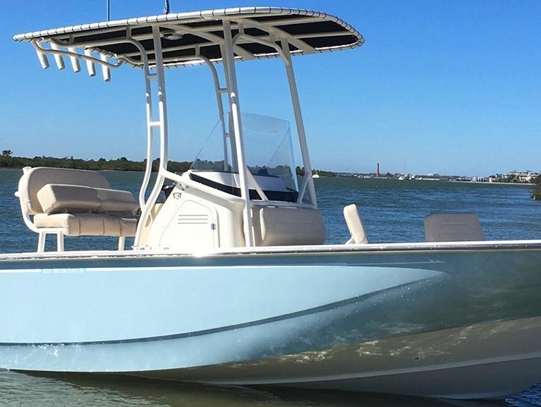 Boston Whaler 210 Montauk