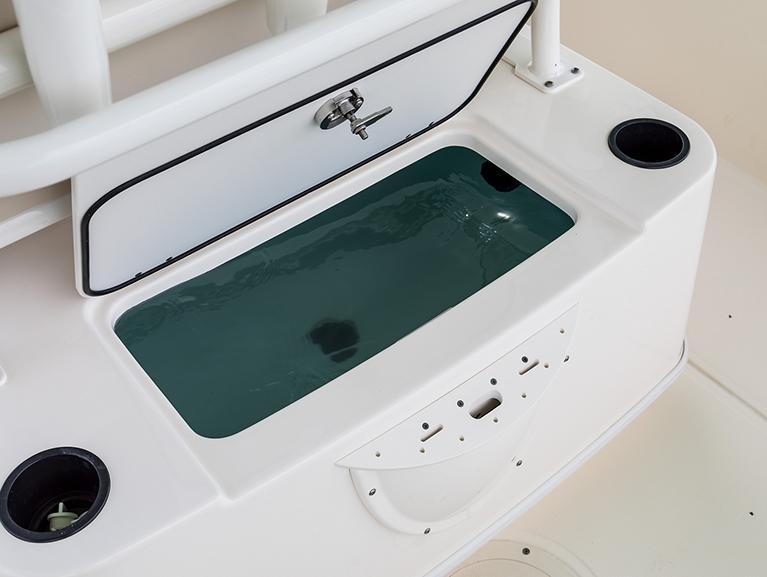 Boston Whaler 210 Montauk
