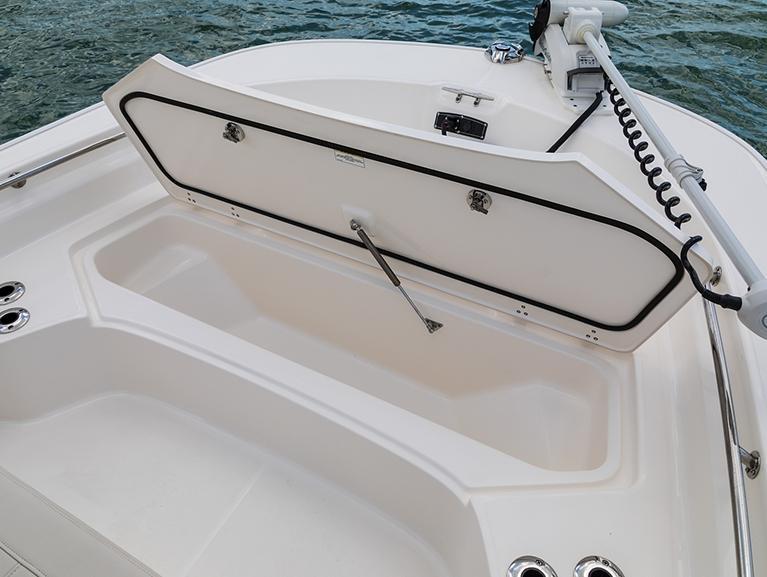 Boston Whaler 210 Montauk