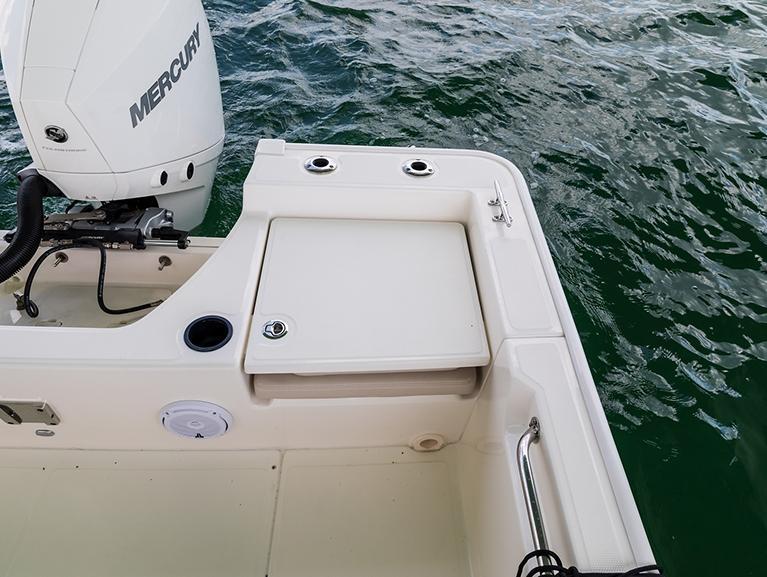 Boston Whaler 210 Montauk