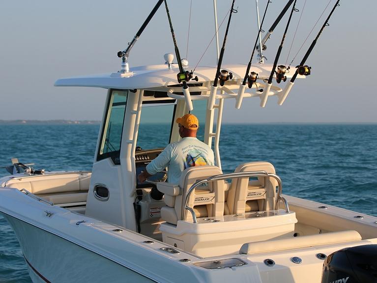 Boston Whaler 250 Outrage