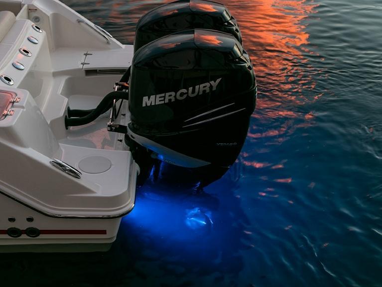 Boston Whaler 250 Outrage