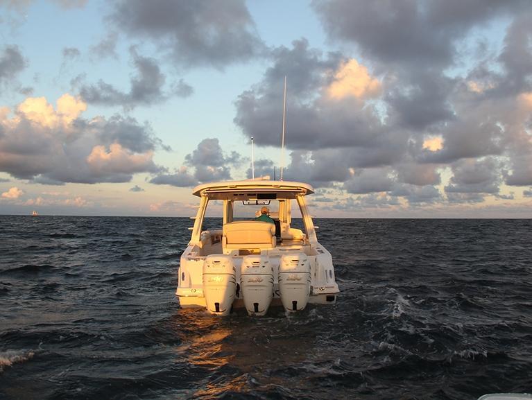 Boston Whaler 350 Realm