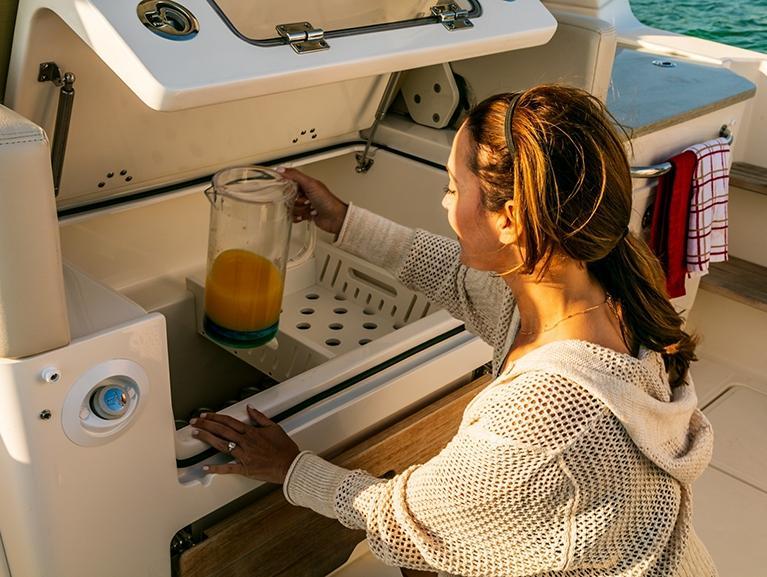 Boston Whaler 350 Realm