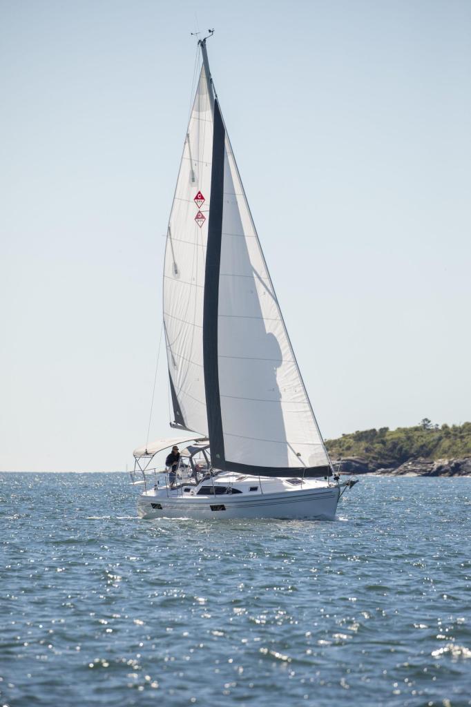 Catalina 316