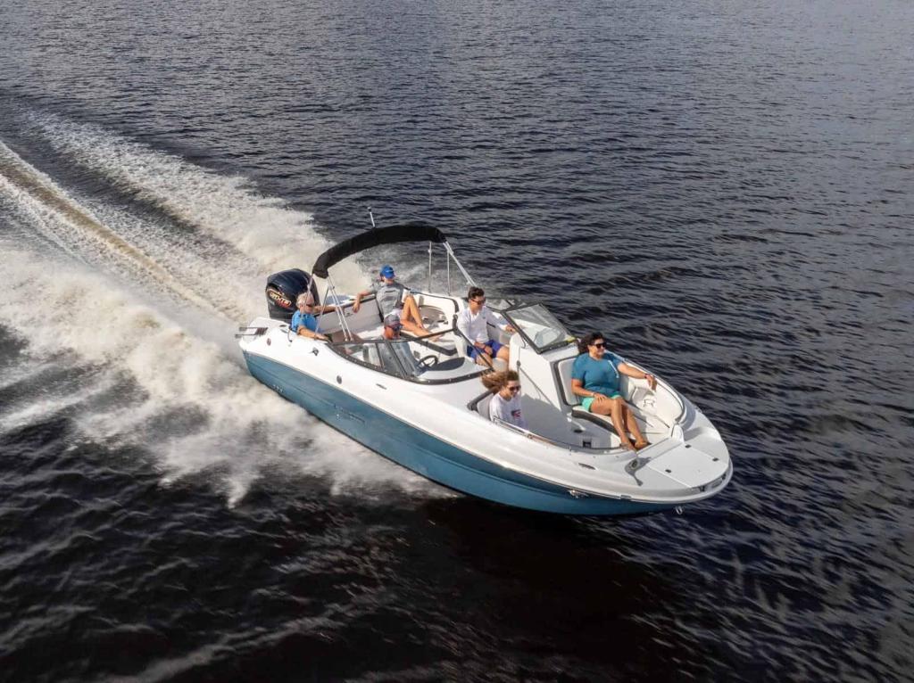 Stingray 231DC