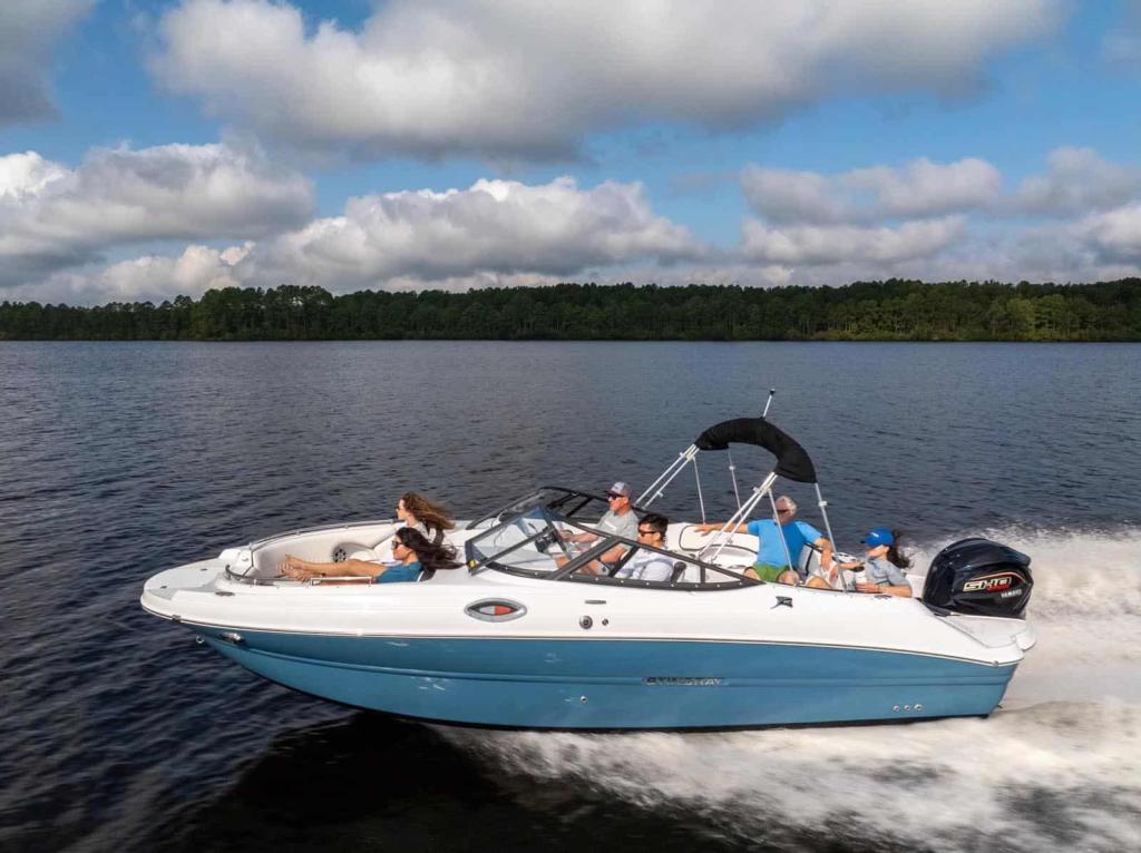 Stingray 231DC