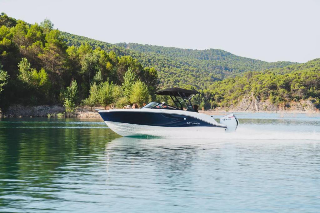 Bayliner V20