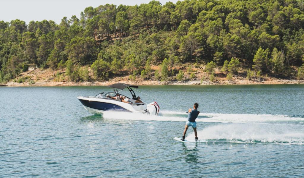 Bayliner V20