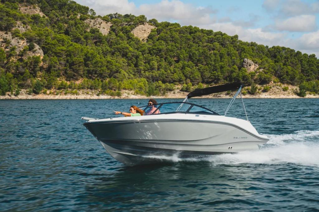 Bayliner V20i