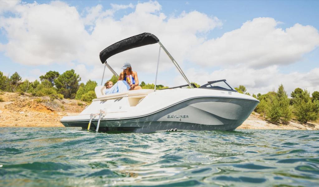 Bayliner V20i