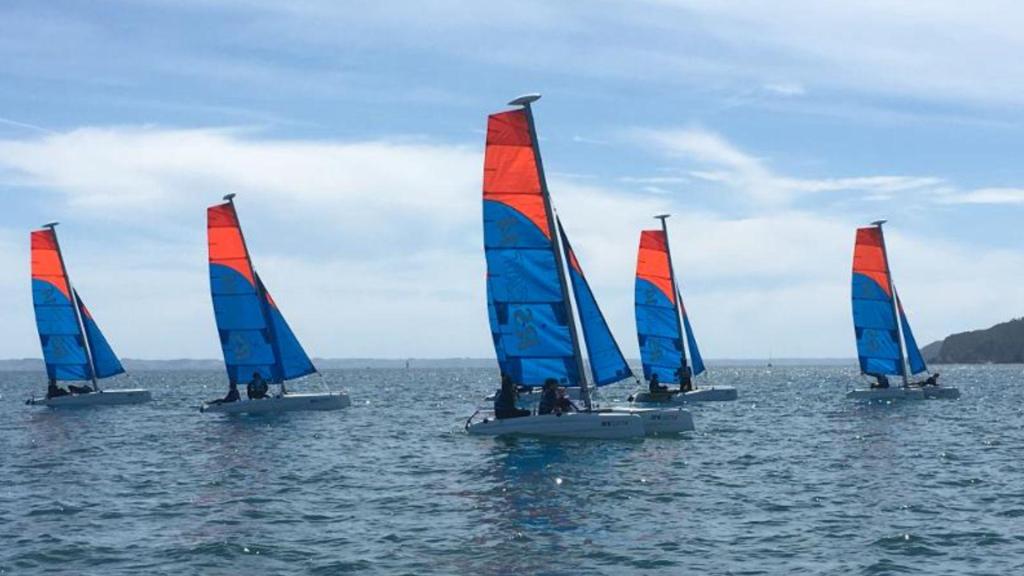 RS CAT 14