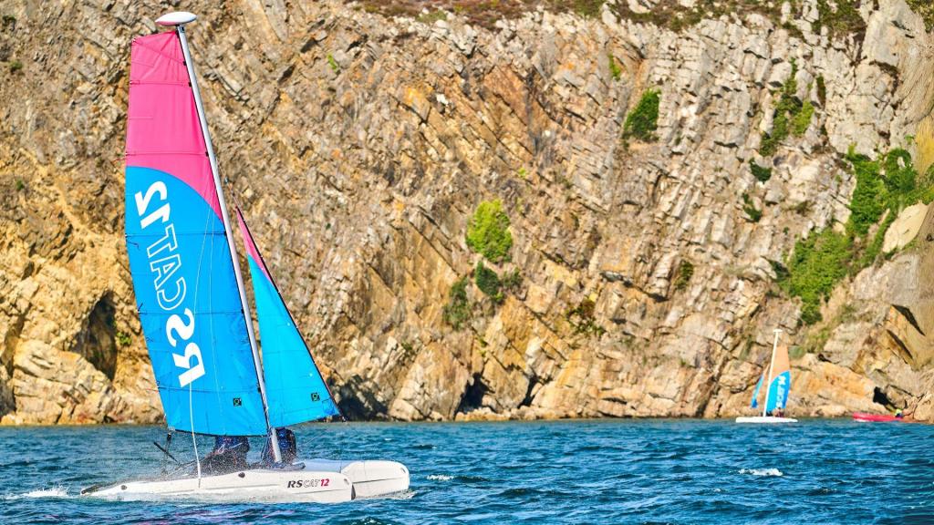 RS CAT12
