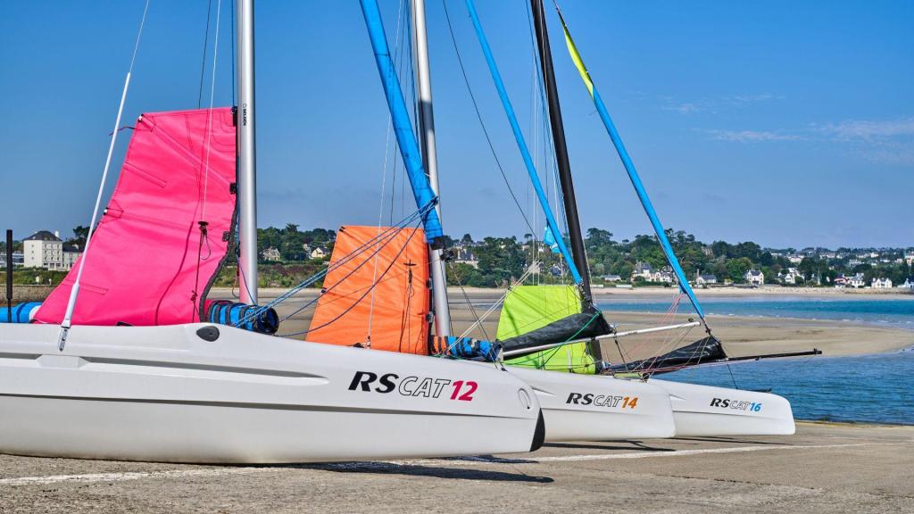 RS CAT12
