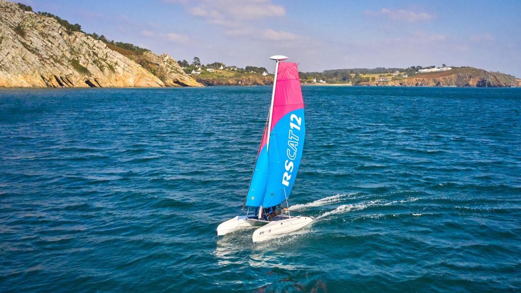 RS CAT12